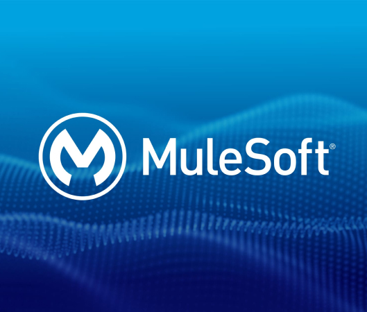 What Is MuleSoft?