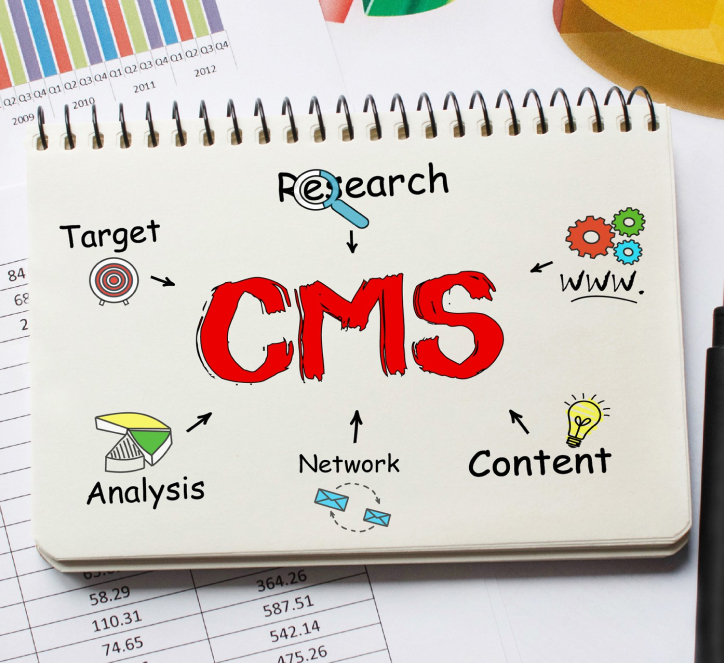 Cms Integration Services In Sydney