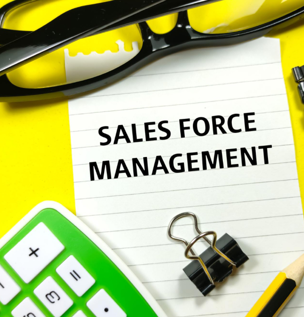 SalesForce Management Services In Sydney