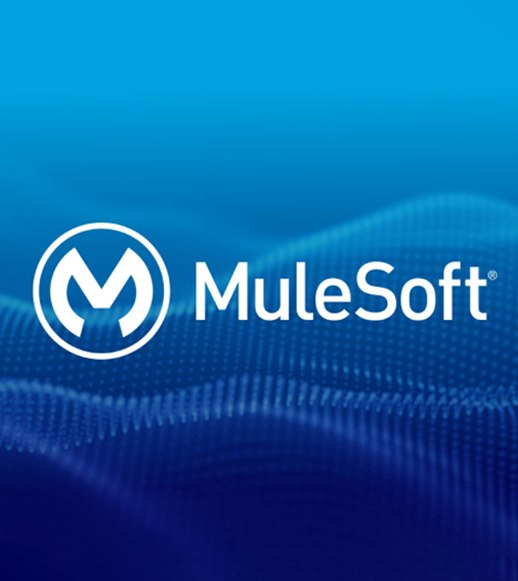 Salesforce Mulesoft Services In Sydney